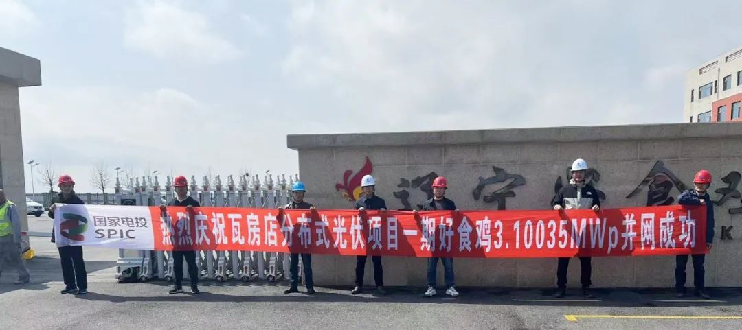 1713773798860162.jpg 1.jpg